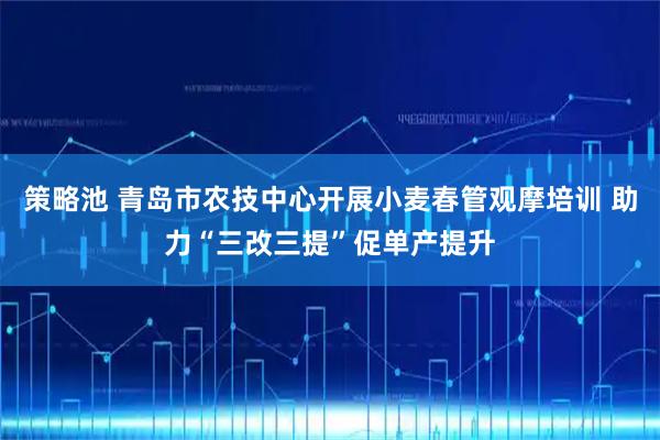 策略池 青岛市农技中心开展小麦春管观摩培训 助力“三改三提”促单产提升