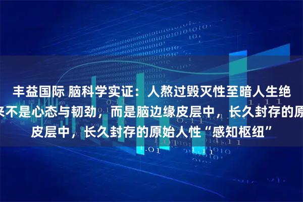 丰益国际 脑科学实证：人熬过毁灭性至暗人生绝境，最先苏醒的从来不是心态与韧劲，而是脑边缘皮层中，长久封存的原始人性“感知枢纽”